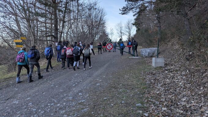 signaraux dec2025.jpg